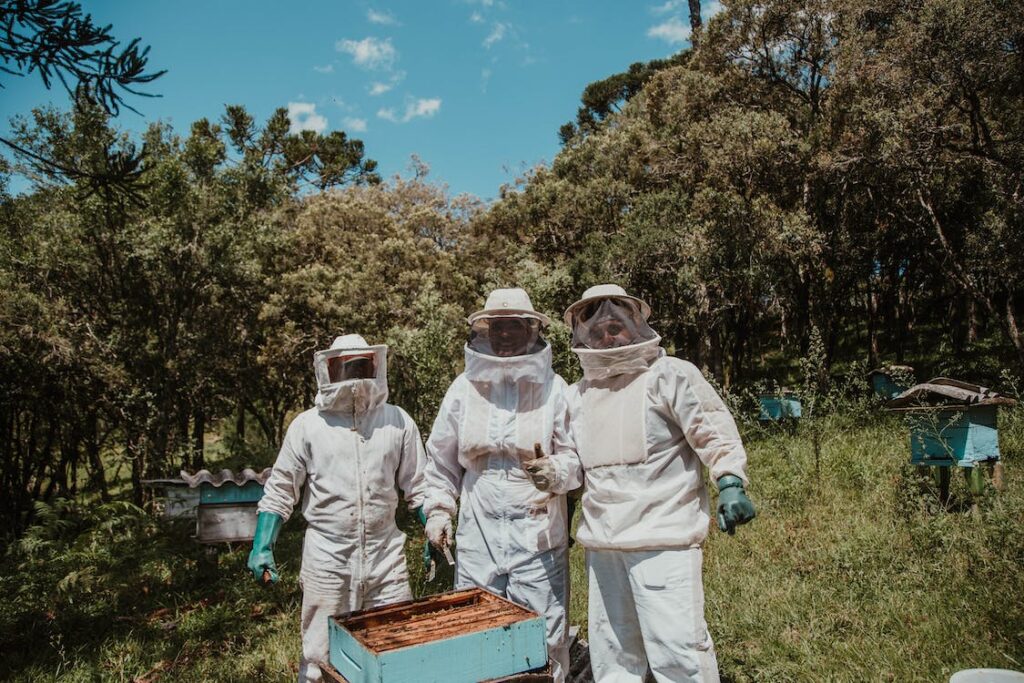 Beekeeping as a Sustainable Venture image